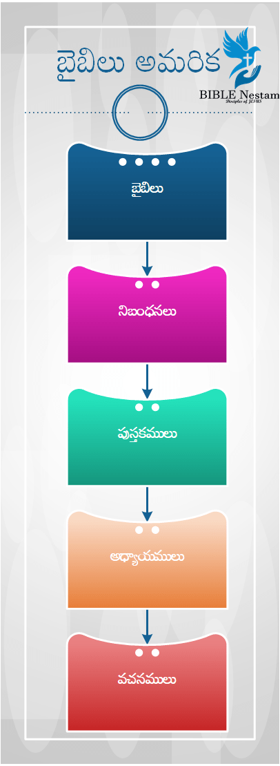 Bible Structure