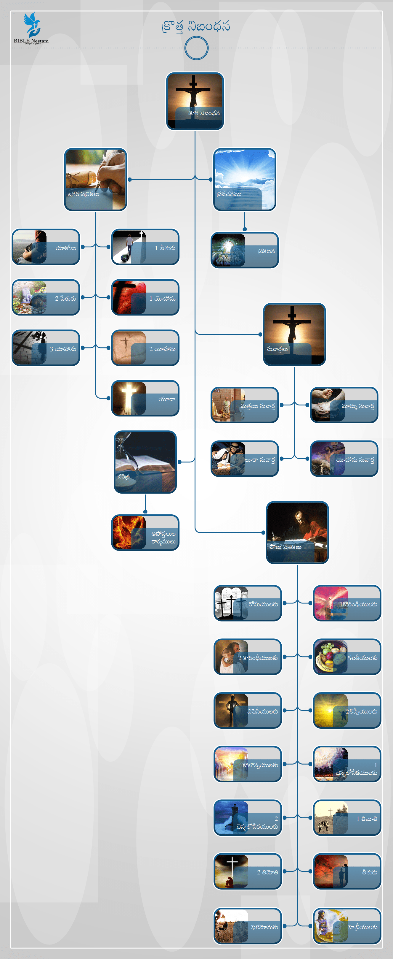 NT at a glance